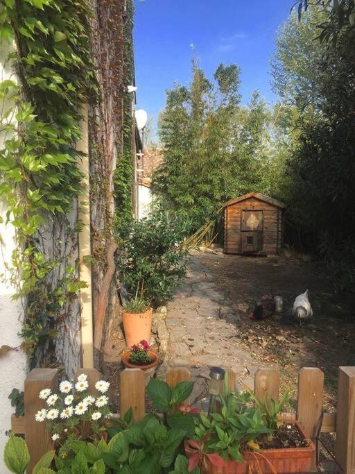 La Campagne Dans La Ville Narbonne Exterior photo