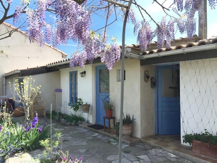 La Campagne Dans La Ville Narbonne Exterior photo