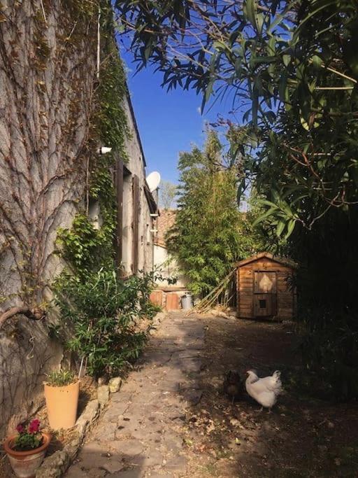 La Campagne Dans La Ville Narbonne Exterior photo
