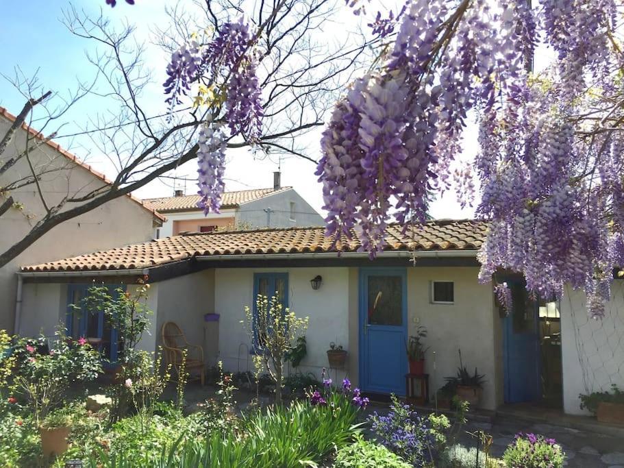 La Campagne Dans La Ville Narbonne Exterior photo